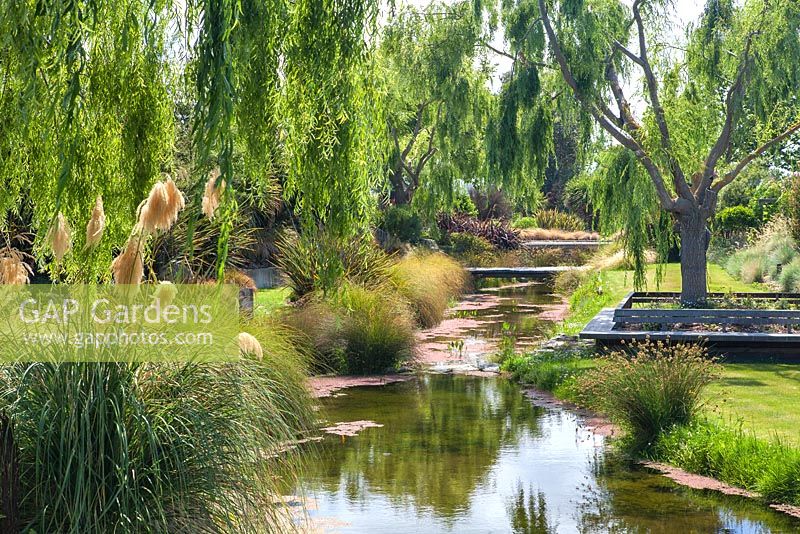 Saules et Cortaderia bordant les rives de la rivière qui traverse le jardin Bhudevi Estate, Marlborough, Nouvelle-Zélande.