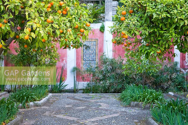 Terrasse supérieure avec mosaïque de galets, orangers, iris et une piscine rectangulaire remplie de papyrus, de vieilles tuiles siciliennes et turques. Casa Cuseni à Taormina, Sicile, Italie