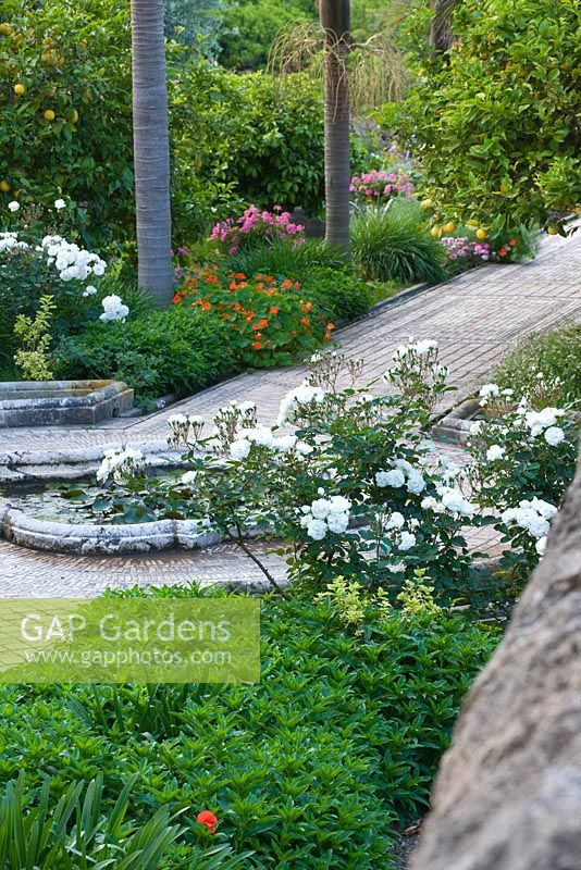 Le jardin arabe est sous-planté de fleurs qui bordent les allées carrelées complexes. Rosa blanche 'Prosperity', Rosa rose 'Deborah' et capucines. Domaine de San Giuliano. Sicile, Italie