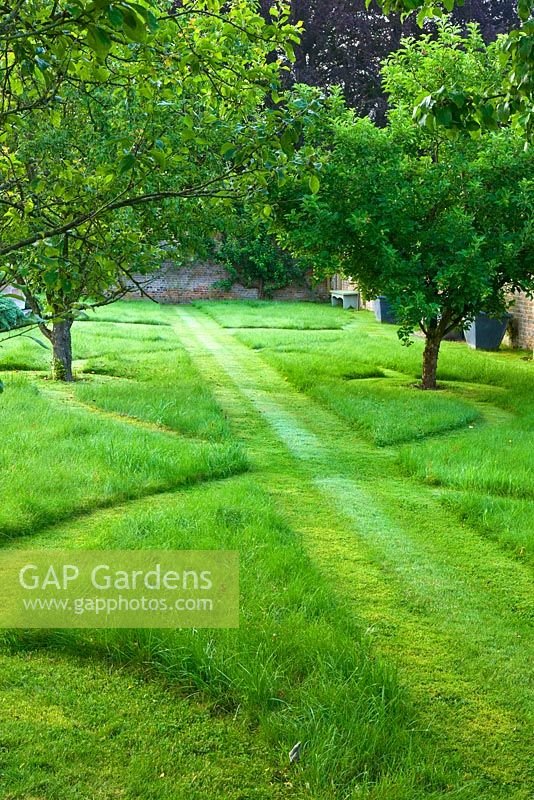Chemins d'herbe symétriques dans la pelouse du verger. Poulton House Garden, Wiltshire.