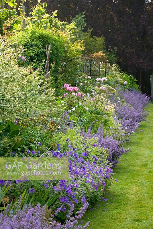 Parterre de fleurs long en été avec nepeta, géraniums et roses. Poulton House Garden, Wiltshire.
