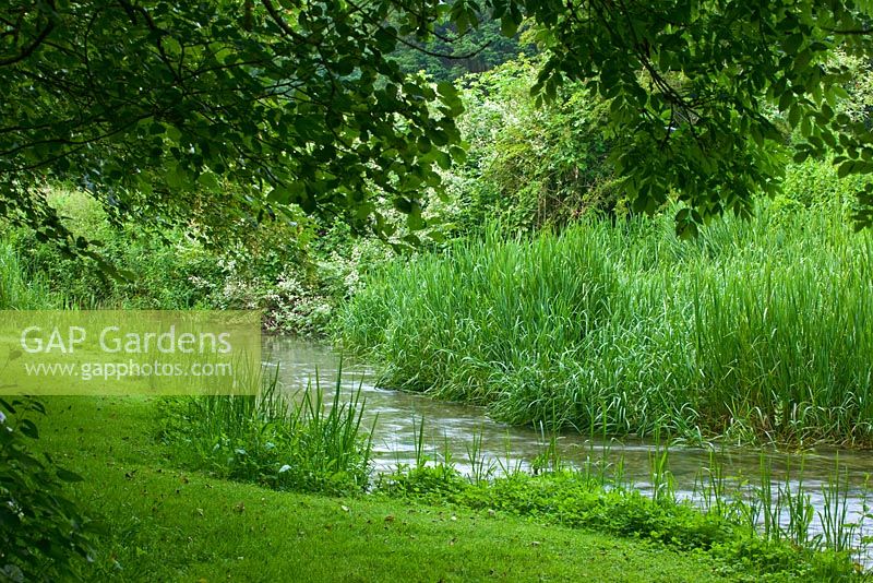 Un ruisseau coule dans le jardin. Poulton House Garden, Wiltshire.