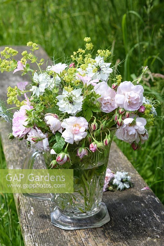 Rosa 'Blush Noisette' avec nigelle et achemilla mollis dans une cruche en verre