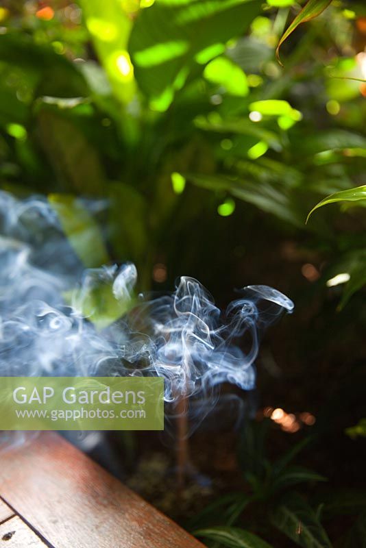 La fumée d'un bâton d'encens citronnelle qui flotte dans un jardin pour repousser les insectes piqueurs et ennuyeux.