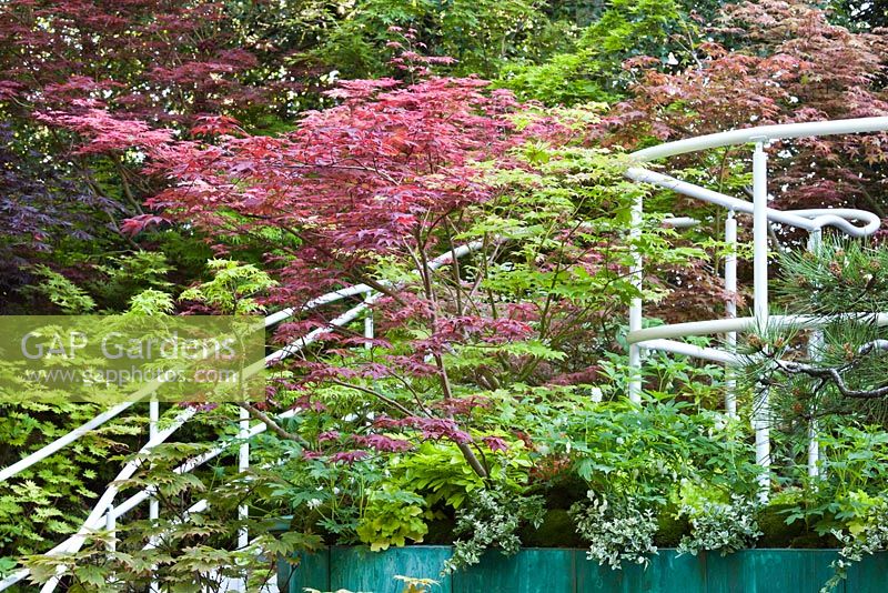 Garage avec toit vert. Senri-Sentei - Jardin de garage. RHS Chelsea Flower Show 2016, concepteur: Kazyuki Ishihara, parrain: projet Senri-Sentei