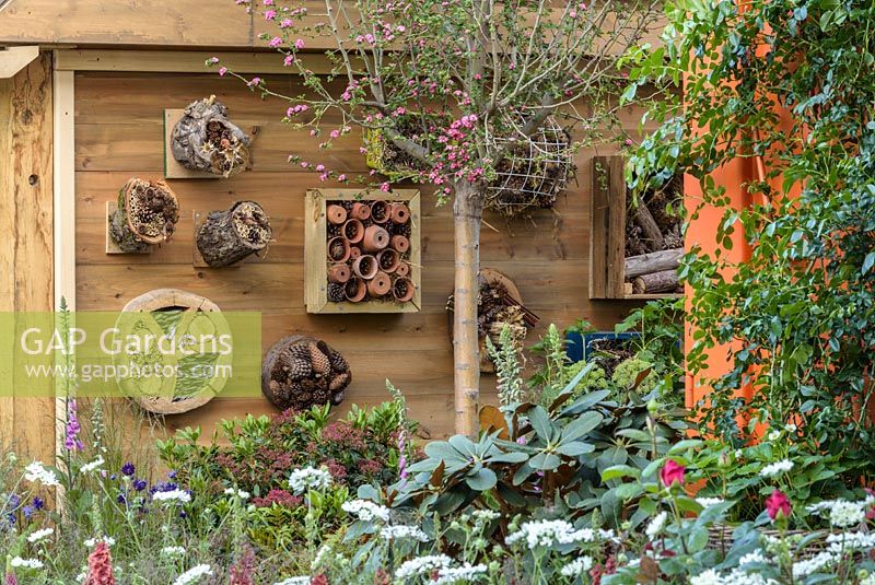 Hôtels d'insectes dans le RHS Greening Grey Britain pour la santé, le bonheur et le jardin horticole. RHS Chelsea Flower Show 2016 - Designer: Annie-Marie Powell
