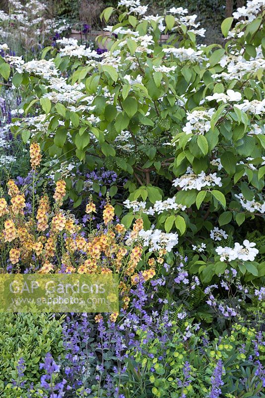 Le comté de Dieu - Un jardin pour le Yorkshire. The RHS Chelsea Flower Show 2016, Designer: Matthew Wilson, Sponsor: Bienvenue dans le Yorkshire