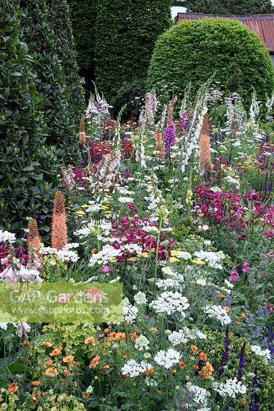 Le jardin excentrique britannique Harrods. Jardin de jardin vivace à floraison printanière. RHS Chelsea Flower Show 2016, concepteur: Diarmuid Gavin, parrain: Harrods