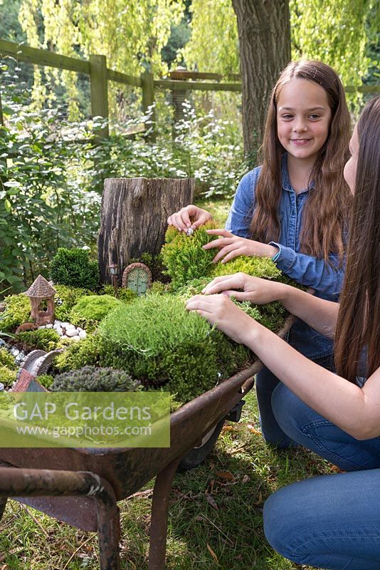 Jardin de brouette miniature. Deux jeunes filles construisant un jardin miniature à l'intérieur d'une brouette