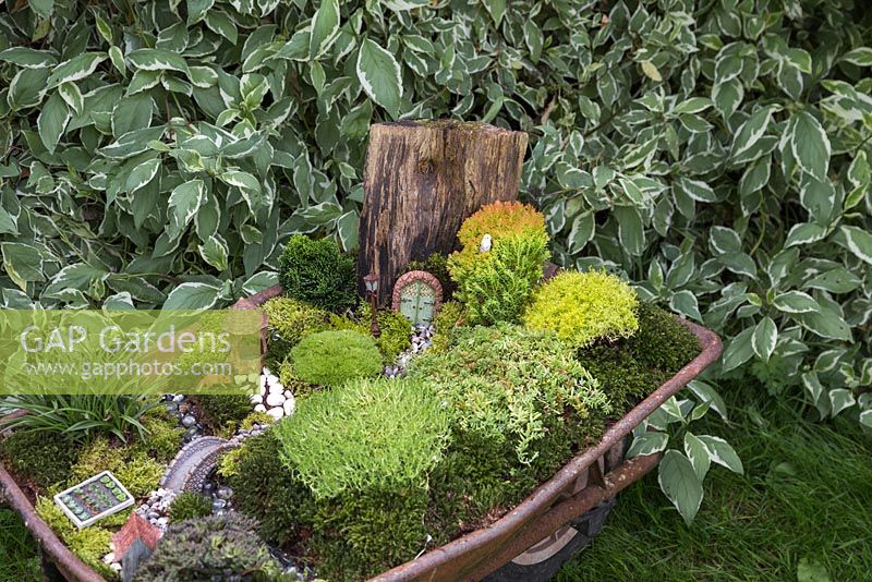 Jardin de brouette miniature. Un jardin miniature à l'intérieur d'une brouette faite de mousse, de conifères, de pierres décoratives, de coquillages, de figurines animales et structurelles