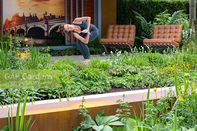 Un praticien de yoga dans Garden of Mindful Living avec deux chaises de Barcelone et des plantes vivaces, dont Epimedium et Hostas. The RHS Chelsea Flower Show 2016 - Designer: Paul Martin - Sponsor: Vestra Wealth LLP - OR