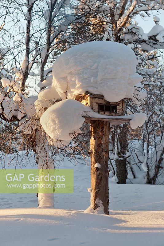 Maison d'oiseau en bois couvert de neige, Suède, janvier