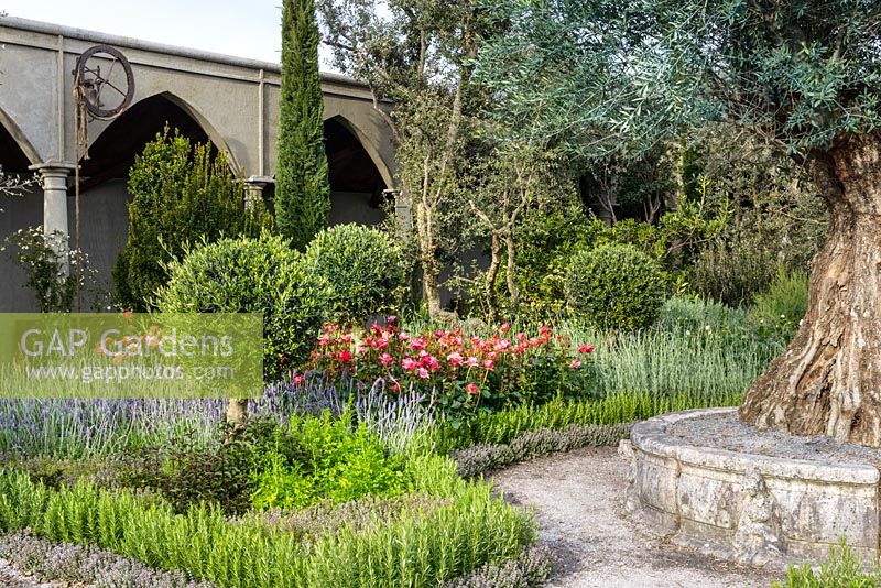 Un jardin du cloître avec Rosa, Rosmarinus et Lavendula au Jardin de la Romance - RHS Malvern Spring Festival 2016 - Design: Villaggio Verde - Médaille d'or