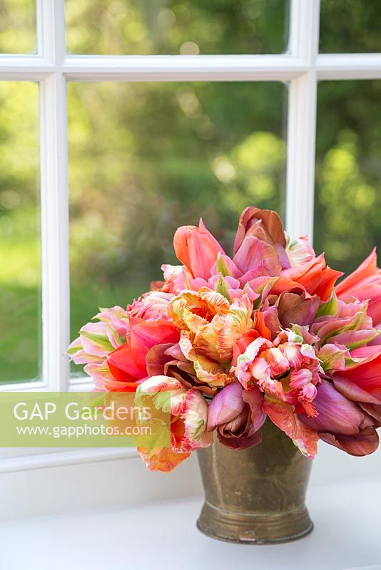 Bouquet de Tulipa 'Malaika', 'Temple of Beauty', 'Floriosa' et 'Apricot Parrot' dans un seau en laiton sur un rebord de fenêtre