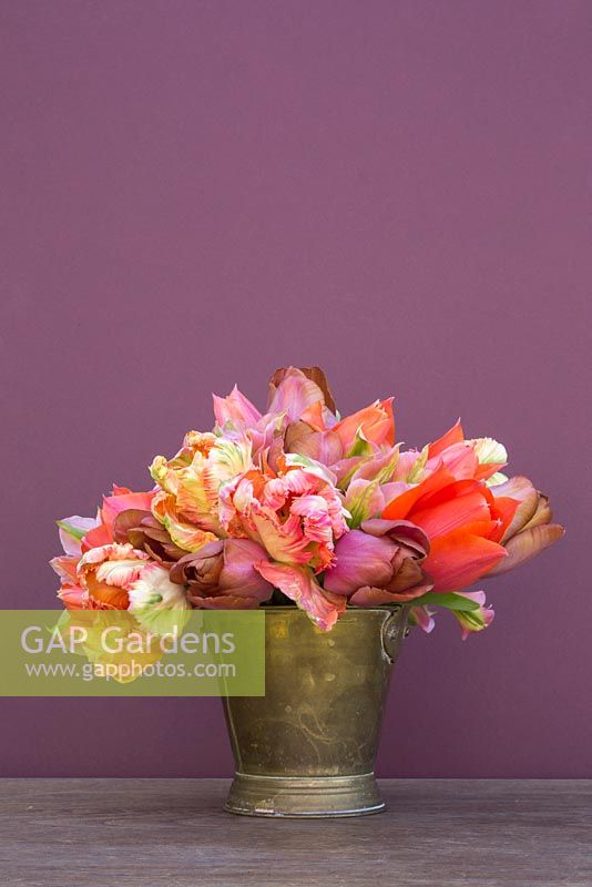 Bouquet de Tulipa 'Malaika', 'Temple of Beauty', 'Floriosa' et 'Apricot Parrot' dans un seau en laiton