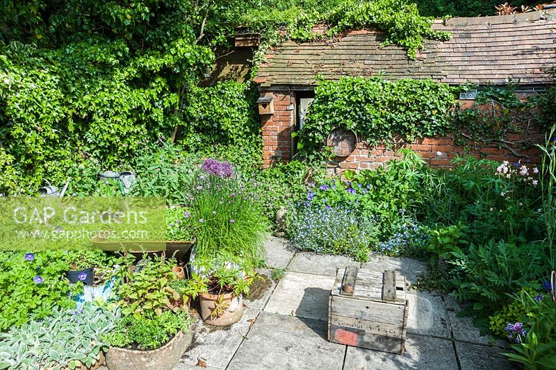 Le petit jardin de Brigit Strawbridge à St James ', Shaftesbury, planté avec la faune à l'esprit, en particulier les bourdons et les abeilles solitaires.