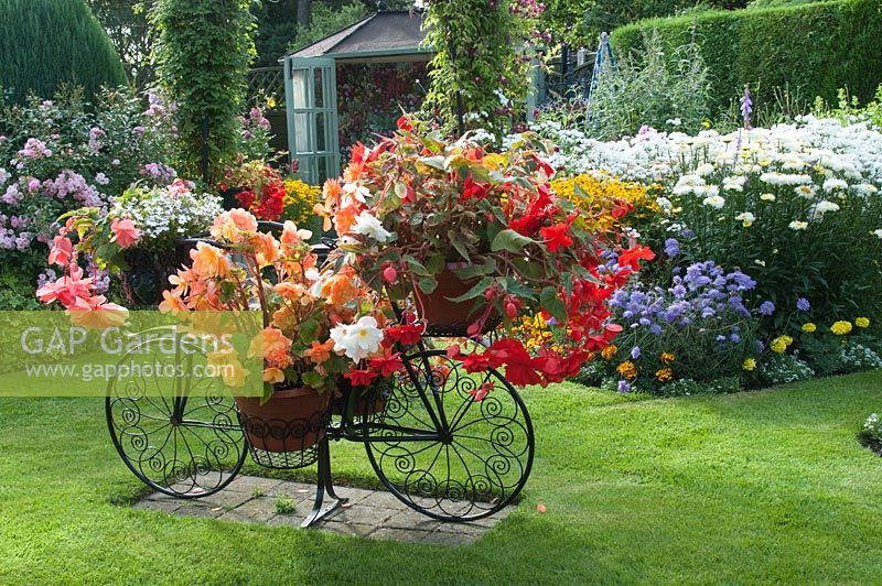 Vélo décoratif tenant des pots avec Begonia et Lobelia sur la pelouse, la maison d'été et le parterre de fleurs mélangé coloré rempli de plantes vivaces et de tendres plantes annuelles.