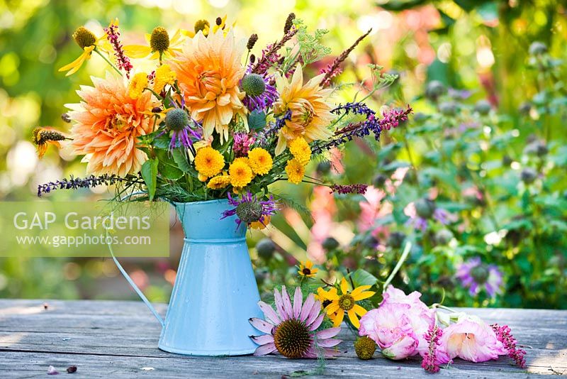 Cruche de vivaces: Echinacea purpurea, Helianthus, Persicaria amplexicaurus, Monarda, Chrysanthemum Yellow Button Pompon, dahlias