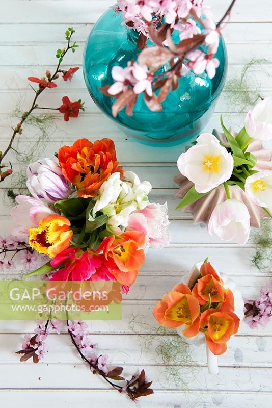 Arrangement de fleurs de printemps, y compris Chaenomeles - coing japonais, Prunus et tulipes