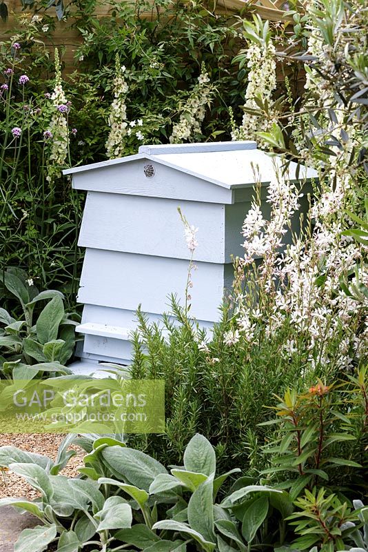 'The Drought Garden 'conçu par Steve Dimmock. Hampton Court Flower Show 2016.