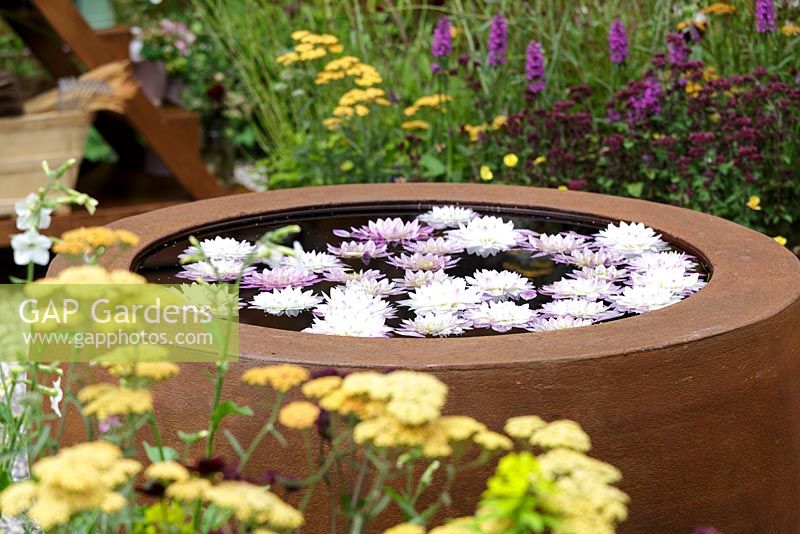 Hampton Court Flower Show 2016. 'Katie's Garden' conçu par Carolyn Dunster, Noemi Mercurelli