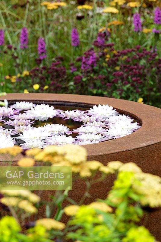 ' Katie's Garden 'conçu par Carolyn Dunster, Noemi Mercurelli. Hampton Court Flower Show 2016.