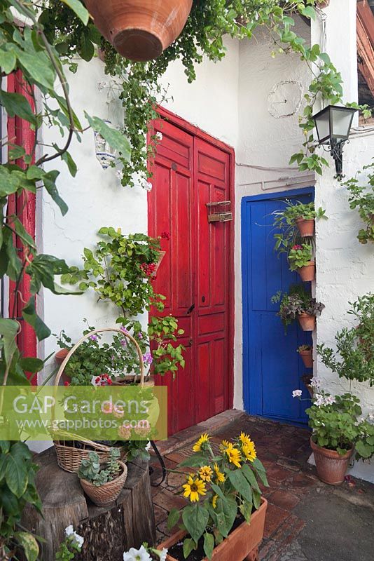 Coin terrasse peint en blanc avec des portes rouges et bleues et des pots en terre cuite de plantes annuelles d'été, Cordoue, Espagne