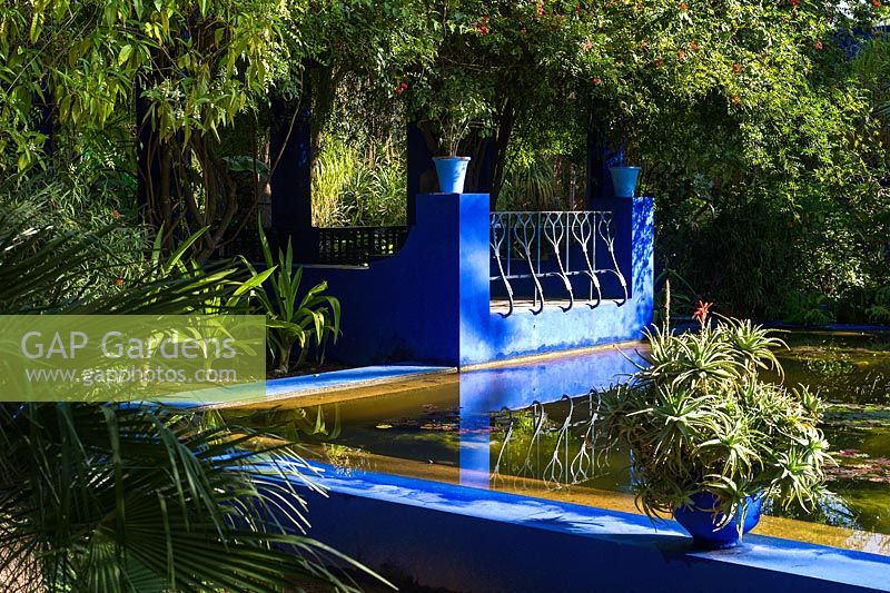Surplombant l'étang aux nénuphars du Jardin Majorelle. Créé par Jacques Majorelle et développé par Yves Saint Laurent et Pierre Bergé, Marrakech, Maroc