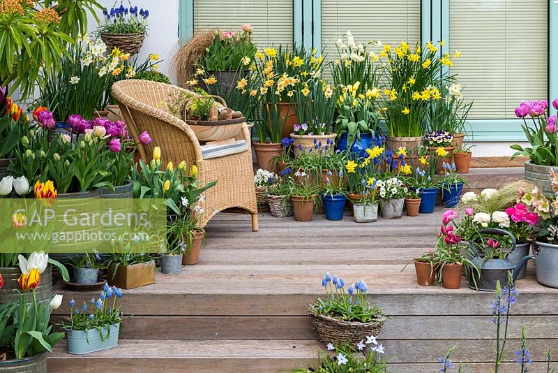 Un coin salon orné avec un étalage coloré de jonquilles, de tulipes, de jacinthes de raisin et d'alto.