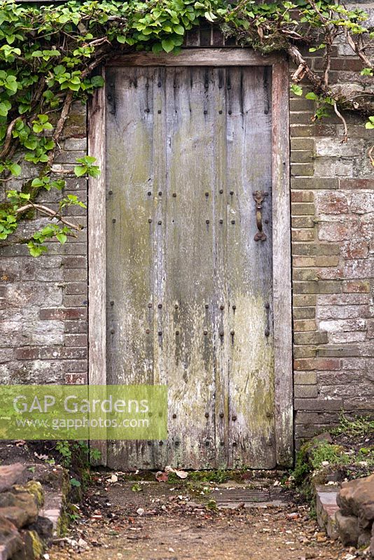 Vieille porte en bois dans jardin clos de pierres avec feuillage d'hortensia petiolaris