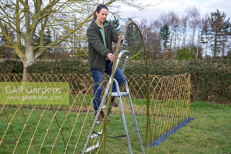 Tissez les épaisses branches de saule pour former une arche solide et solide