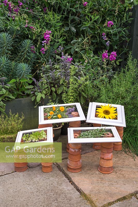 Cadres photo recyclés utilisés pour sécher les herbes et les fleurs. Romarin, menthe, calendula, lavande et tournesol