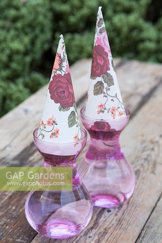 Cadeaux de jacinthe dans des vases en verre rose surmontés de papier d'emballage décoratif
