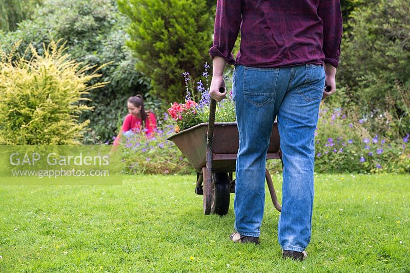 Homme portant des plantes dans une brouette dans le jardin, fille travaillant en arrière-plan
