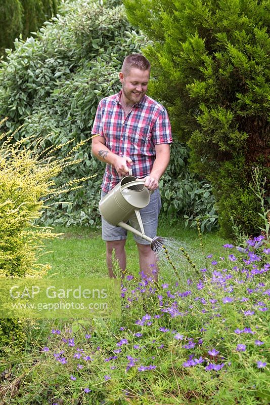 Un homme à l'aide d'un arrosoir pour arroser les plantes dans un parterre de fleurs