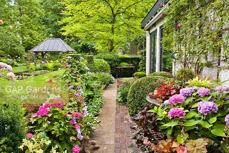 Parterres de fleurs au début de l'été avec chemin pavé autour de la maison. Hydrangea macrophylla Endless Summer et Hydrangea macrophylla 'Pia '. Jardin Sarina Meijer.