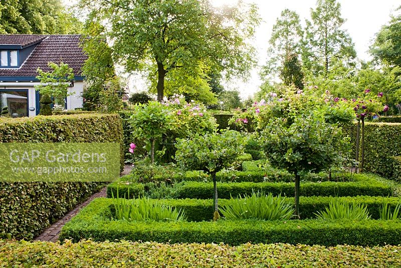 Jardin comestible avec des arbustes de groseille à maquereau. Haies de boîtes et de charme. Jardin Sarina Meijer