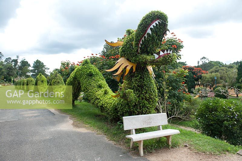Jardin arborent des dragons topiaires. Jardins botaniques de Da Lat Vietnam.