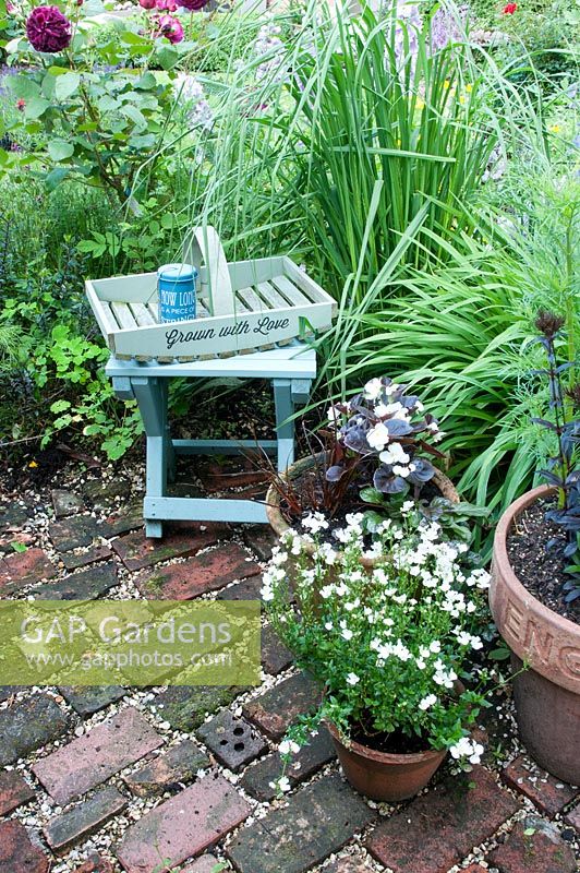 Jardin Cottage avec arrangement de petite table en bois peint et trug et jardinières avec Lobelia et Nemesia sur chemin de briques récupérées