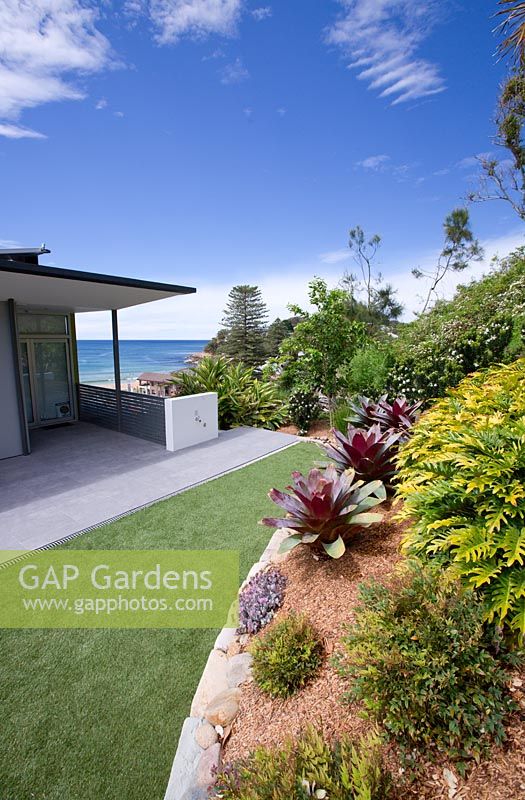 Le jardin arrière d'une maison australienne en bord de plage construite sur un site escarpé. On voit une pelouse artificielle et un parterre de fleurs surélevé avec des Alcantares et Philodendron 'Xanadu'.