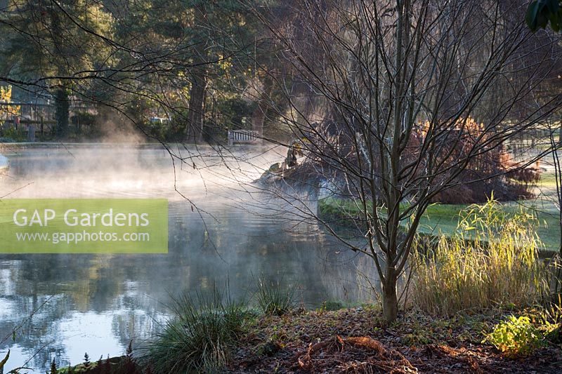 Un brouillard se lève de la piscine du puits dans le jardin du palais épiscopal de Wells par une froide matinée de novembre