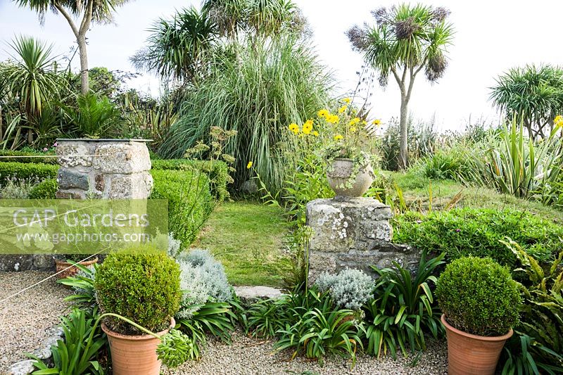 Des pots de boîte coupée, d'agapanthe et de santoline encadrent un chemin herbeux menant au jardin du cadran solaire, entouré de grands palmiers, de Cordyline australis et de cortaderia.