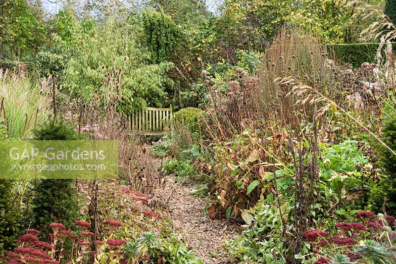 Un chemin de gravier mène entre une paire de parterres plantés de Sedum 'Herbstfreude', de persicaria, d'asters et de nombreuses autres plantes herbacées vivaces et graminées.