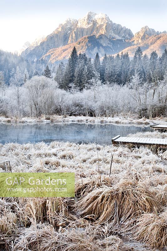 Étang naturel en hiver.