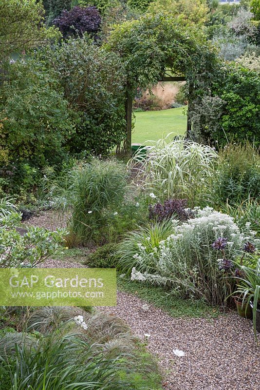 Vue d'ensemble du jardin blanc, avec chemin de gravier menant au-delà des graminées panachées et des vivaces