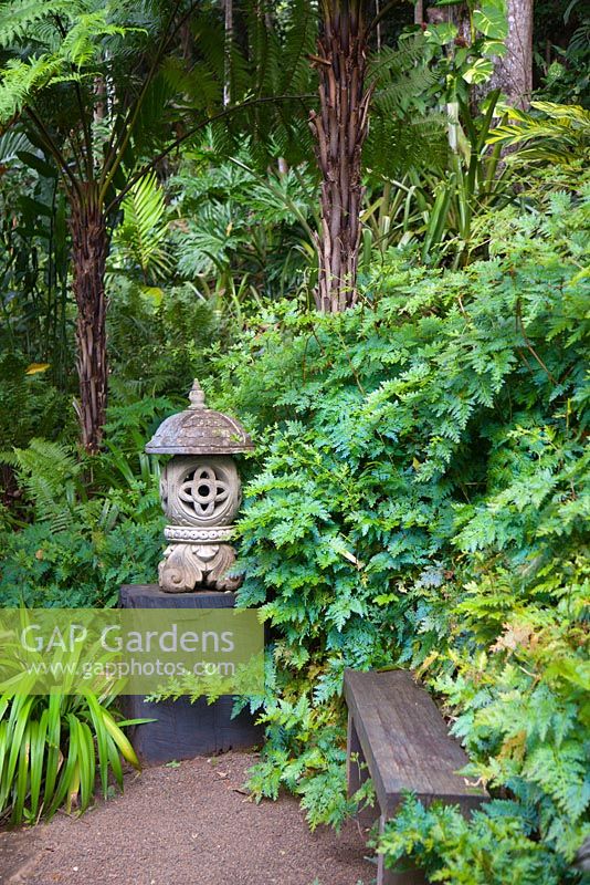 Une lanterne en pierre sculptée balinaise se trouve sur un grand socle en bois noir à côté d'un simple banc en bois au bout d'un chemin de gravier de pois entouré d'une épaisse plantation de fougères et d'autres plantes aimant l'ombre.