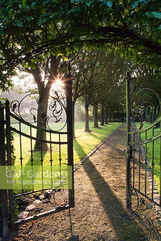 Entrée au jardin avec portail ouvert en fer forgé. Avenue des cerisiers ornementaux. Jardin Yvan et Gert en Belgique.