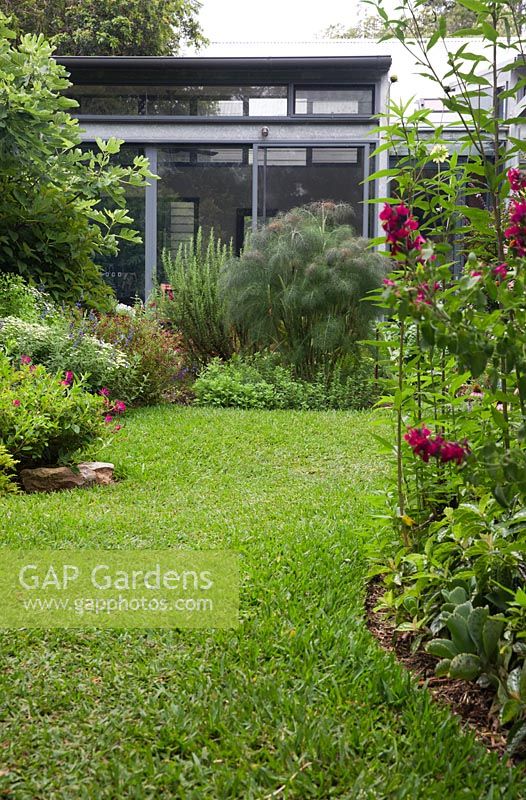 Vue depuis l'arrière du jardin vers l'arrière de la maison, montre des parterres de jardin incurvés, une pelouse de buffle à feuilles souples et une variété de plantes herbacées à fleurs.