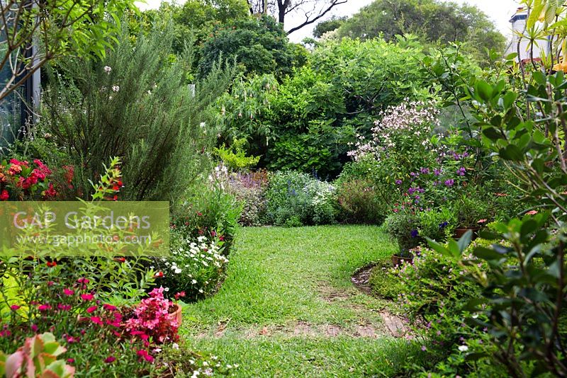 Vue large d'un jardin montrant des parterres de jardin incurvés, une pelouse de buffle à feuilles souples et une variété de plantes herbacées et vivaces à fleurs et colorées. .