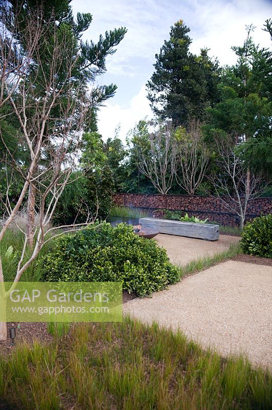 Gardenias par un siège de jardin en bois entouré de plantes et d'herbes mélangées